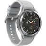 Смарт-часы Samsung Galaxy Watch4 Classic 46 мм Silver (Серебристый) SM-R890NZSACIS EAC