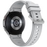 Смарт-часы Samsung Galaxy Watch4 Classic 46 мм Silver (Серебристый) SM-R890NZSACIS EAC