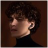 Беспроводные наушники Xiaomi Mi True Wireless Earphones 2 Pro Black (Черный) EAC