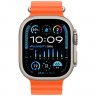 Умные часы Apple Watch Ultra 2 49 мм Titanium Case Orange Ocean Band
