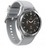 Смарт-часы Samsung Galaxy Watch4 Classic 46 мм Silver (Серебристый)