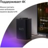 Умная колонка Яндекс.Станция Макс с Zigbee Красная EAC