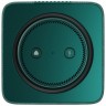 Умная колонка Яндекс.Станция Макс с Zigbee Зеленая EAC