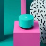 Умная колонка Яндекс.Станция Лайт Green (Мята) EAC