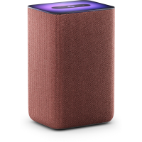 Умная колонка Яндекс.Станция 2 с Алисой Copper (Медный) EAC