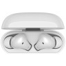 Беспроводные наушники ZMI PurPods Pro White (Белый)