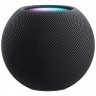 Умная колонка Apple HomePod Mini Space Gray (Серый космос)