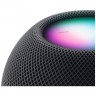 Умная колонка Apple HomePod Mini Space Gray (Серый космос)
